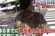 【悲報】女性ドライバー、割り込みしてきた車を阻止するもぶつけられブチギレるｗｗｗｗ