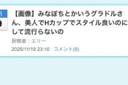 【画像】ワイが先日立てたグラドルスレ、本人に巡回されていた模様…
