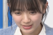 【日向坂46】平尾帆夏「尻尾の素材だけ…」ｗｗｗｗｗｗｗｗ
