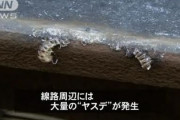 JR北海道　特急「オホーツク」、エンジンがオーバーヒートして峠越えられず  [1/9]