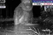 『報酬低いからクマ駆除やらない』とか言ってるけどさ