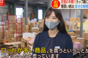 【画像】めっちゃ嫁にしたい東京ガスの職員さん、見つかる