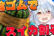 【ホロライブ】ぺこら、スイカ爆発して配信が終わる