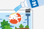 【急募】金魚水槽の初の水換えなんだが天然水使ったほういいかな？？？？？？？？？？？？