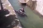 【動画】酔っぱらった男性が動物園の檻に乱入、ヒグマと格闘の末にクマを溺れさせようとする