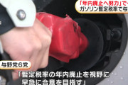 ガソリンの減税って大事みたいに言われるが大したことなくね？