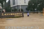武漢の生物研究所が水没した模様・・・