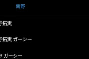 【終了】南野、ガーシー砲かｗｗｗｗｗｗｗｗ