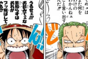 【ONEPIECE -ワンピース】ルフィ&ゾロさん、いくらなんでも態度が悪すぎるｗｗｗｗｗ