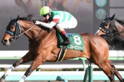 【有馬記念】スルーセブンシーズ1週前追い切りで5F自己ベスト更新