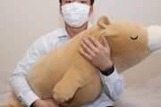 阪神５位村上「触り心地がいい」クマの抱き枕で入寮