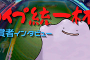 【ポケモン剣盾】タイプ統一結果発表！ #ぽけます仲間大会 優勝はノーマル統一を使用したくろえるさん！
