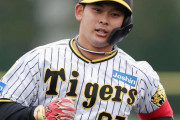 阪神・野口恭佑が初昇格へ