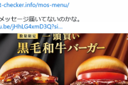 【激怒】ホリエモン、モスバーガーにブチギレｗｗｗｗｗ