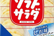 友達のお母さん「ごめんねぇ、こんなのしかないけどよかったら食べてってね」