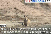 男のスマホにウサギ虐待の動画や画像も　ウサギの口にはさみを入れ暴行か　広島県の「うさぎの島」で　会社員の男（25）を再逮捕　広島県警