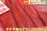 サケは不漁だけど今年は｢生すじこ｣が激安 去年の半額！東京でも100g550円