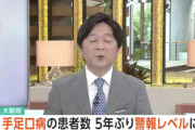 【緊急】『手足口病』、大暴れ…