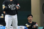 【悲報】西武ファンの山川へのブーイング、なぜか11球団から絶大な支持をされてしまう