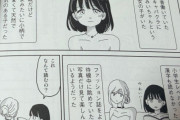 【衝撃】みい山の作者、ダイアナとの関係について声明！「私とダイアナは別人、過去の漫画はダイアナから依頼を受けて描いてただけ」