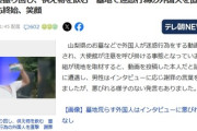 【速報】テレ朝、墓地荒らしの外国人に直撃も舐められる・・・