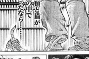 【画像】有名漫画「猫は日本刀を持った人間と互角の強さ」←これマジ？