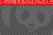 目の錯覚を利用した画像すごすぎワロタ