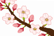【画像】ゴッホの絵みたいな桜ｗｗｗｗｗｗｗｗ