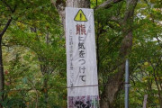 【要警戒エリア】東京はすでにクマに囲まれている…専門家が｢ここまで侵入する可能性がある｣と警鐘を鳴らす