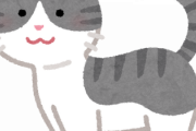 猫飼い始めたんやけどwww