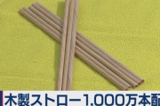 日本企業「五輪で木のストロー1000万本配るから作ってくれる人募集します」
