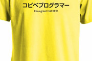 【！？】謎勢「実はプログラミングは自分で考えなくていいモノ」←これ