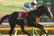【皐月賞の登録馬は19頭】ルメールはイクイノックスに騎乗　三浦皇成、丸田恭介らの騎乗馬も決まる