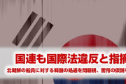 国連「韓国政府は国際法に背いた」　　どんどん味方が消えていくな…