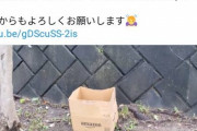 【朗報】人気猫系YouTuberさん、再生数半減で「生後1ヶ月の捨て猫」を2匹拾うｗｗｗｗｗ