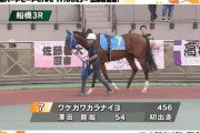 ワケガワカラナイヨ、地方競馬デビュー　3馬身差をつけて初勝利