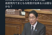 岸田総理｢賃金上昇に向け､産休･育休中の“学び直し”を後押しする｣←無事炎上ｗｗｗｗ