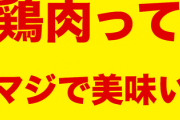 鶏肉ってマジで美味い