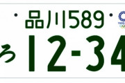 最近ハスラーみたいな車が白ナンバープレートで走ってるの見るんだけどなにあれ？
