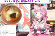 【ホロライブ】こよの豚汁・・・お雑煮できました