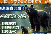 日本ヴィーガン協会さん、ヒグマ捕殺ストップを訴え森にドングリを撒く活動をする