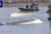 【辺野古沖転覆2人死亡】海保がメガホンで注意を促したにもかかわらず、2隻は戻らなかった