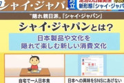 韓国 周囲の反日から隠れて日本製品を買う『シャイ・ジャパン』が流行 ﾕﾆｸﾛＧＵもオンライン売り切れ