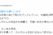 【悲報】チワワ、コンビニの入り口に紐で繋がれて放置される