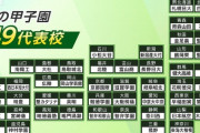 【高校野球】夏の甲子園４９代表校出そろう　大阪桐蔭、報徳学園、健大高崎ら強豪続々