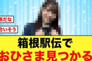【日向坂46】箱根駅伝で日向坂メンバーを推しているランナーが見つかる