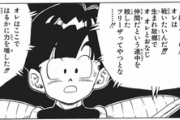 ナメック星編でピッコロを復活させて呼ぶ必要あった？