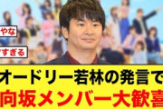 オードリー若林の発言で、メンバーとおひさまのテンションがブチ上がる【日向坂46】