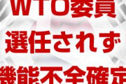 【速報】WTO、今日から機能不全に！　米国が上級委員の選任を拒否！　韓国の外交カードも消失！　終わったな…