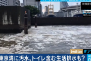 【東京湾】「残ったトイレットペーパーが泡のように…」「五輪には到底間に合わない」
